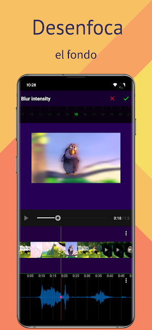 Blur Background Of Video Screenshot 1