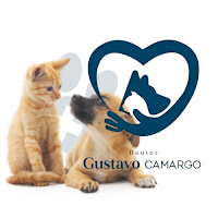 Clinica Vet Dr Gustavo