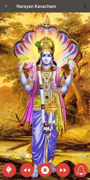 Shriman Narayan Kavach Stotra Screenshot 2
