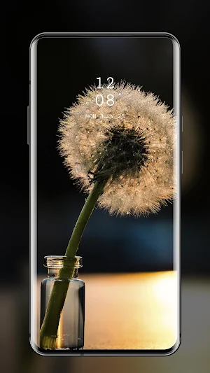 Wall Picz - Beautiful HD Wallpapers Screenshot 3