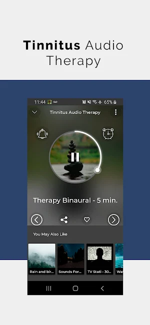Tinnitus Audio Therapy Screenshot 1