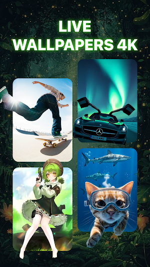 MicaWall Live 4K Launcher Screenshot 0