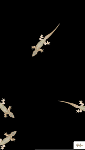 Games for cat - catch the Lizard Screenshot 2