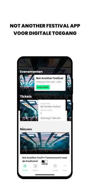 Not Another Festival Screenshot 0