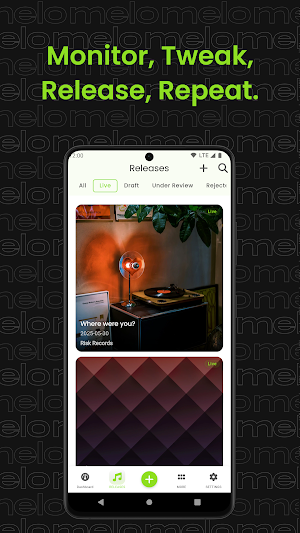 Melo for Artists Screenshot 3