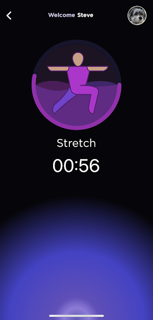 WellWise: Employee Wellbeing Screenshot 3