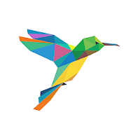 Hummingbird Field Notes