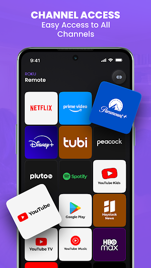 Roku Tv Remote Screenshot 3