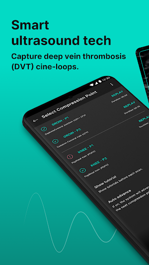 AutoDVT Screenshot 0
