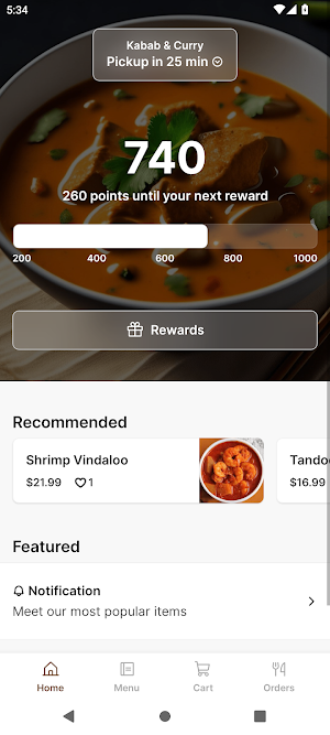 Kabab & Curry Screenshot 0