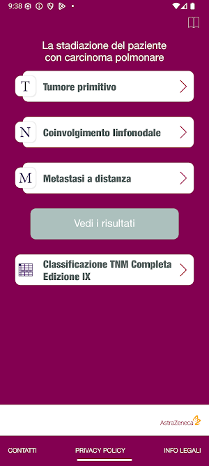 Stadiazione TNM Lung Screenshot 2