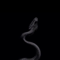 Dark Wallpapers 4K