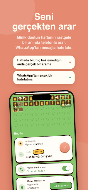 Hibiko · 1 alışkanlık, 66 gün. Screenshot 2