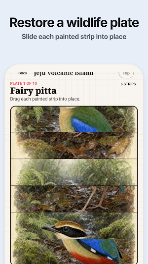Fieldfold: Wildlife Puzzles Screenshot 0