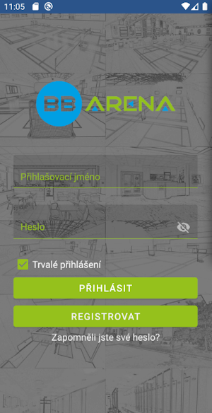 BB Arena Screenshot 0