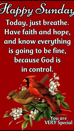 Happy Morning Sunday Blessings Screenshot 1