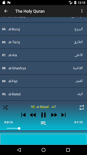 Ali Al Huthaify full Quran (Gallon) offline & read Screenshot 2