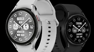 Silver Gray Quartz ZKin Watch Screenshot 1
