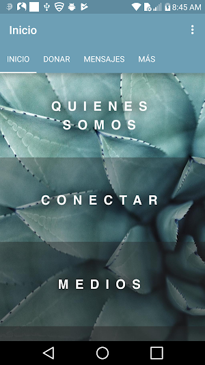 Oasis de Gracia Screenshot 0