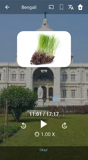 Learn Bengali. Speak Bengali. Study Bengali. Screenshot 2