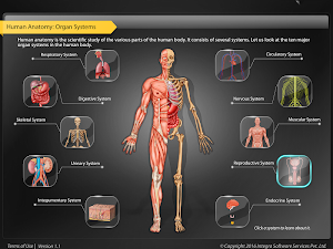 HumanAnatomy-Reproductive Screenshot 0