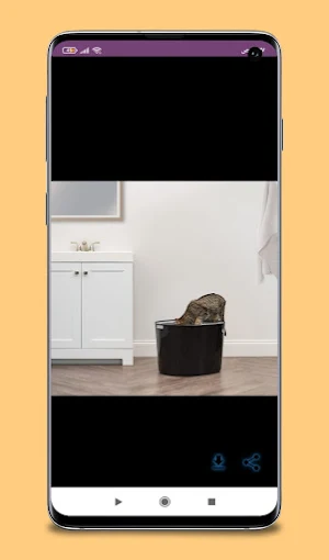 iris entry litter box guide Screenshot 1