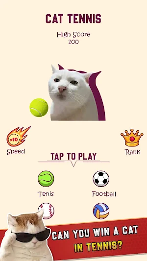Cat Tennis Master Screenshot 1