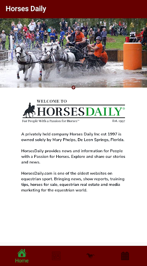 Horses Daily Screenshot 0