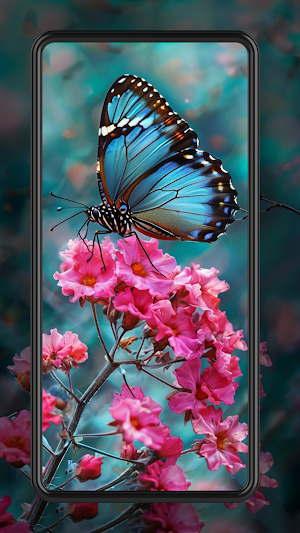 Butterfly Wallpapers HD 2024 Screenshot 3
