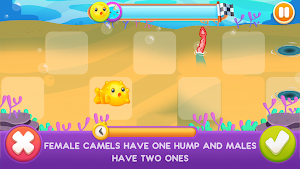SeaScapes Quiz Trivia Runner Screenshot 3