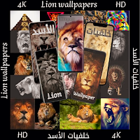 اجمل صور اسد - خلفية الأسد HD