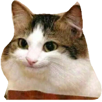 Cat Stickers for Whatsapp