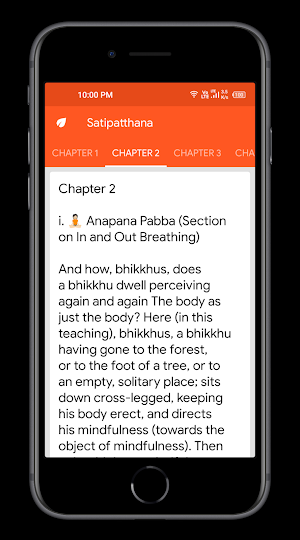 Satipatthana: The Mindfulness Screenshot 1