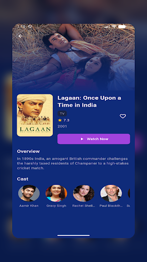 BollyFlix Screenshot 1