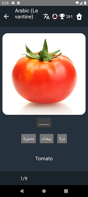 Levantine Arabic Tests Screenshot 3