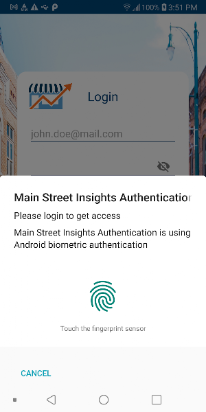 Main Street Insights Screenshot 3