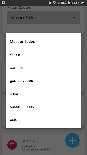 Rokave Control de Gastos Screenshot 2