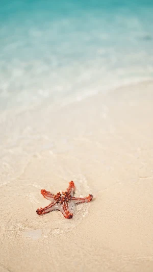 Starfish Wallpaper Screenshot 0