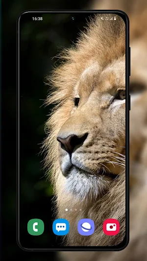 Lion wallpaper background Screenshot 2