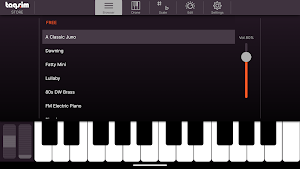 Synth Pro: Vintage Synthesizer Screenshot 0