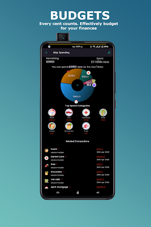 Money Budger Screenshot 3