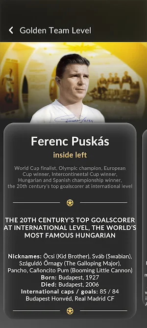Puskás Museum App Screenshot 3