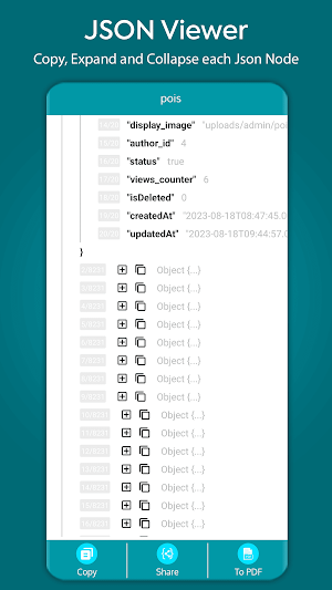 JSON File Viewer Screenshot 2