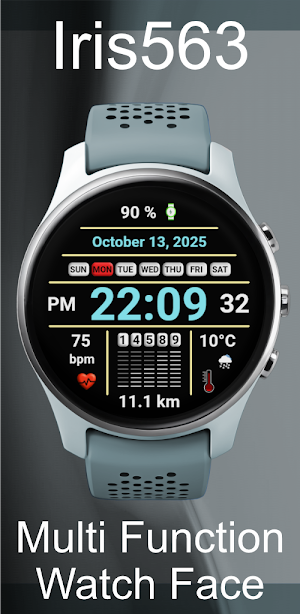 Iris563 Multi-Function Digital Screenshot 1