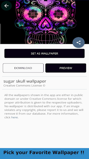 Sugar Skull Wallpaper HD 4K Screenshot 1