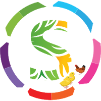 Souba (Beta)