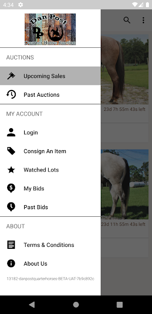 Dan Post Quarter Horse Auction Screenshot 3