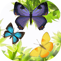 Butterfly and Blossom live wallpaper
