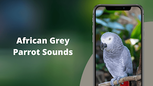 African Grey Parrot Sounds Screenshot 0