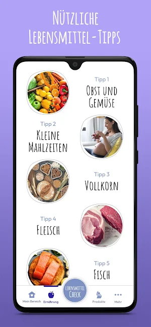 PregFood Screenshot 1